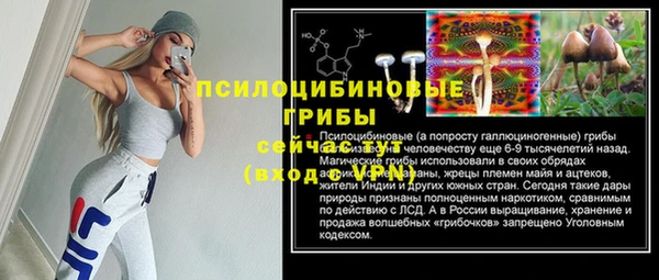 PSILOCYBIN Алексин